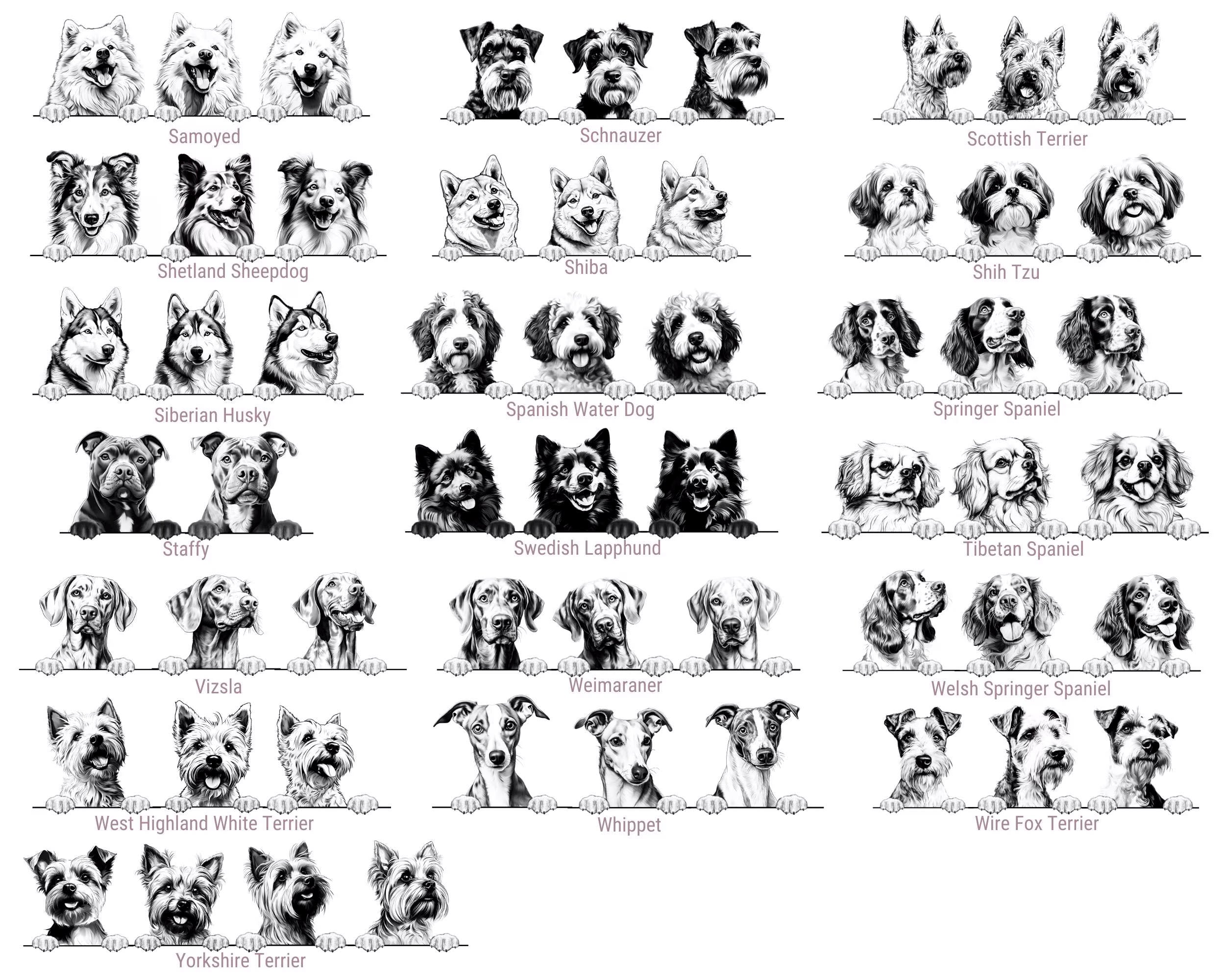 Dog's New Best Friend Custom Baby Bodysuit