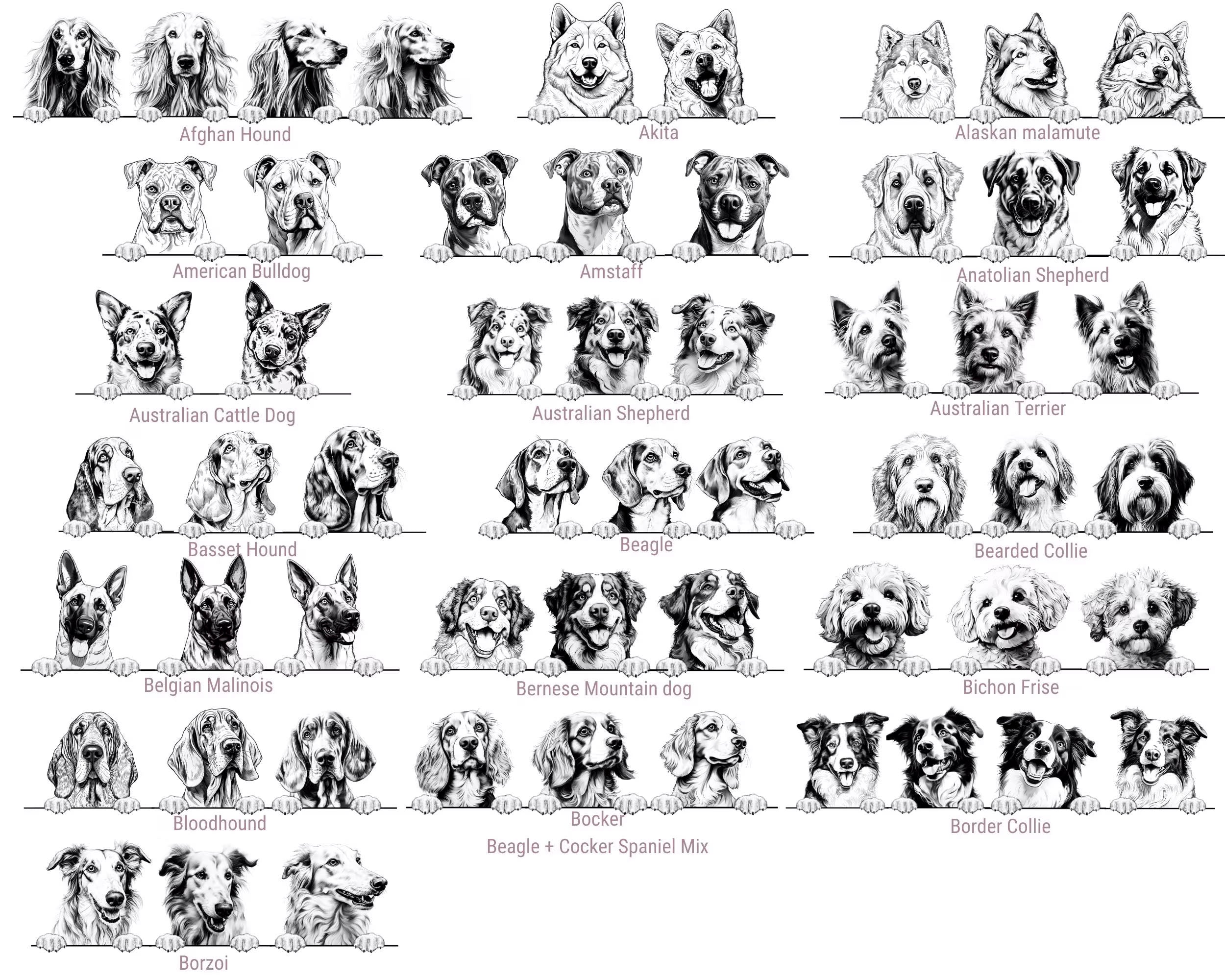 Dog's New Best Friend Custom Baby Bodysuit