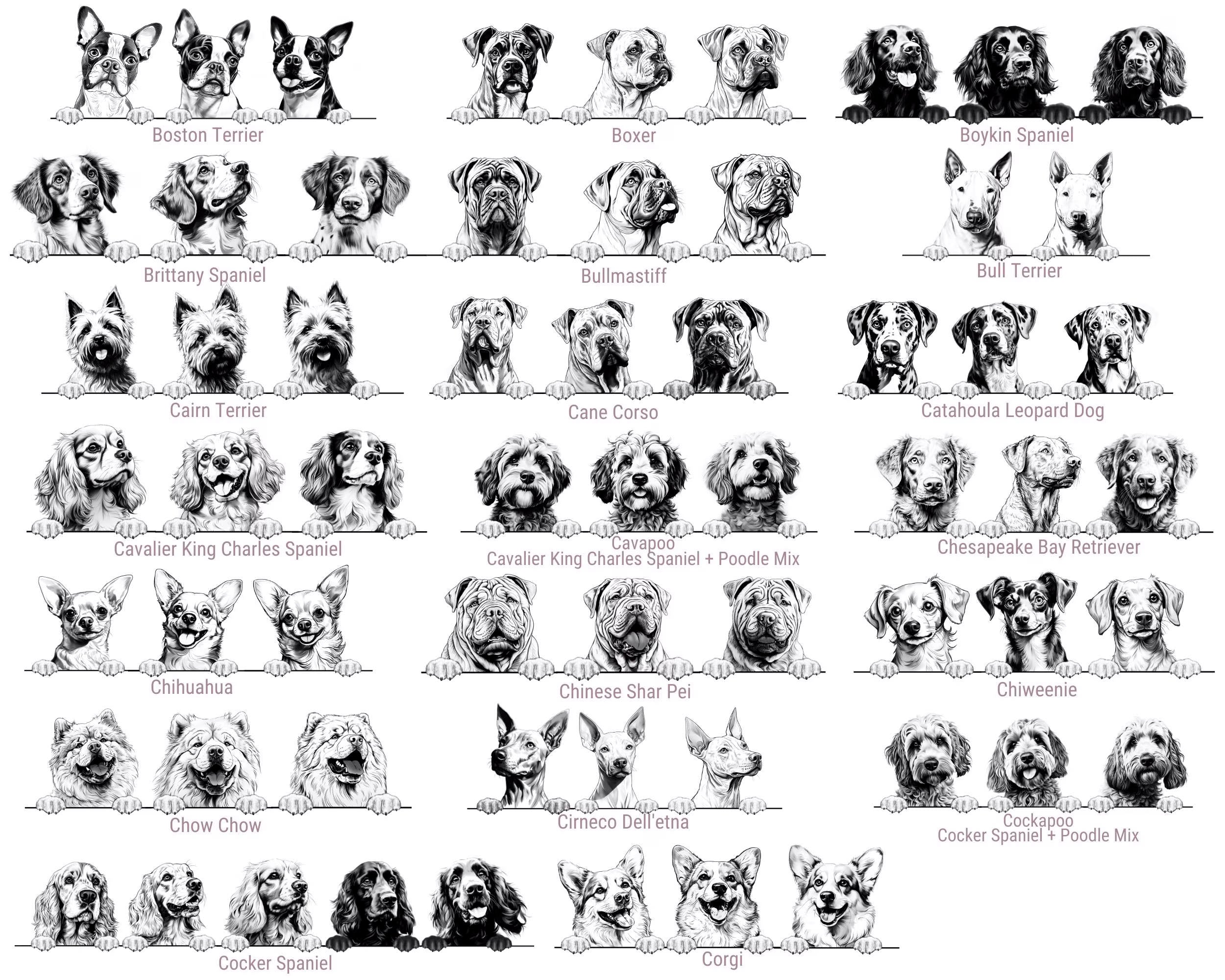 Dog's New Best Friend Custom Baby Bodysuit