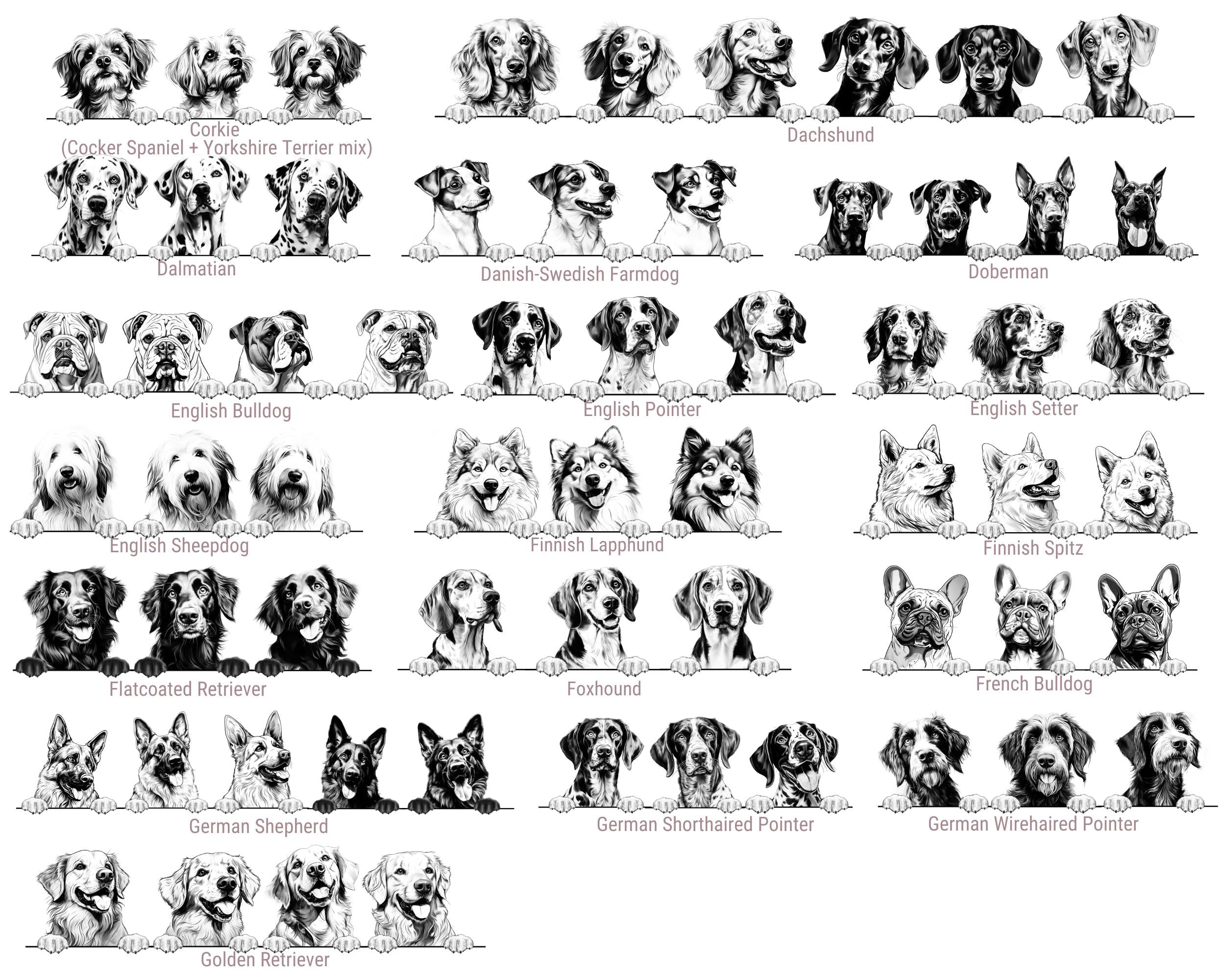 Dog's New Best Friend Custom Baby Bodysuit