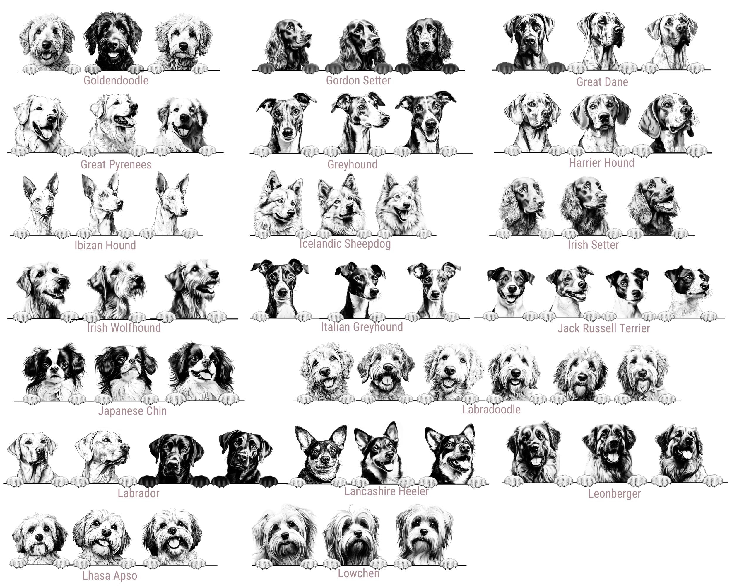 Dog's New Best Friend Custom Baby Bodysuit