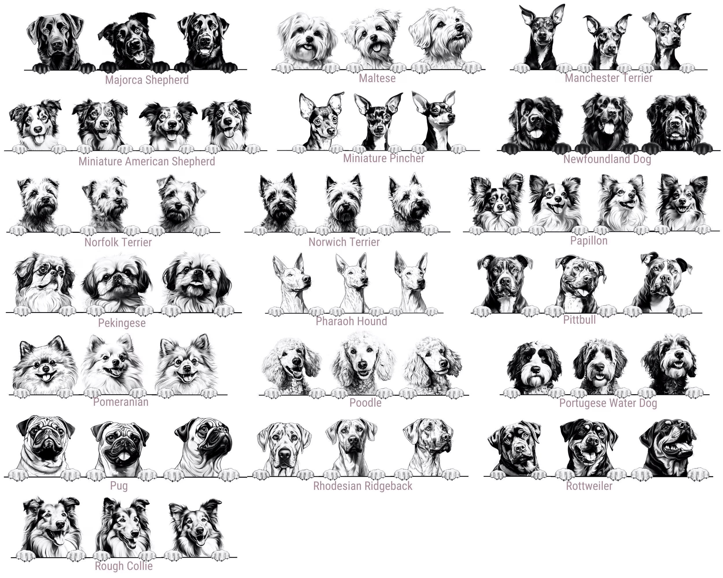 Dog's New Best Friend Custom Baby Bodysuit