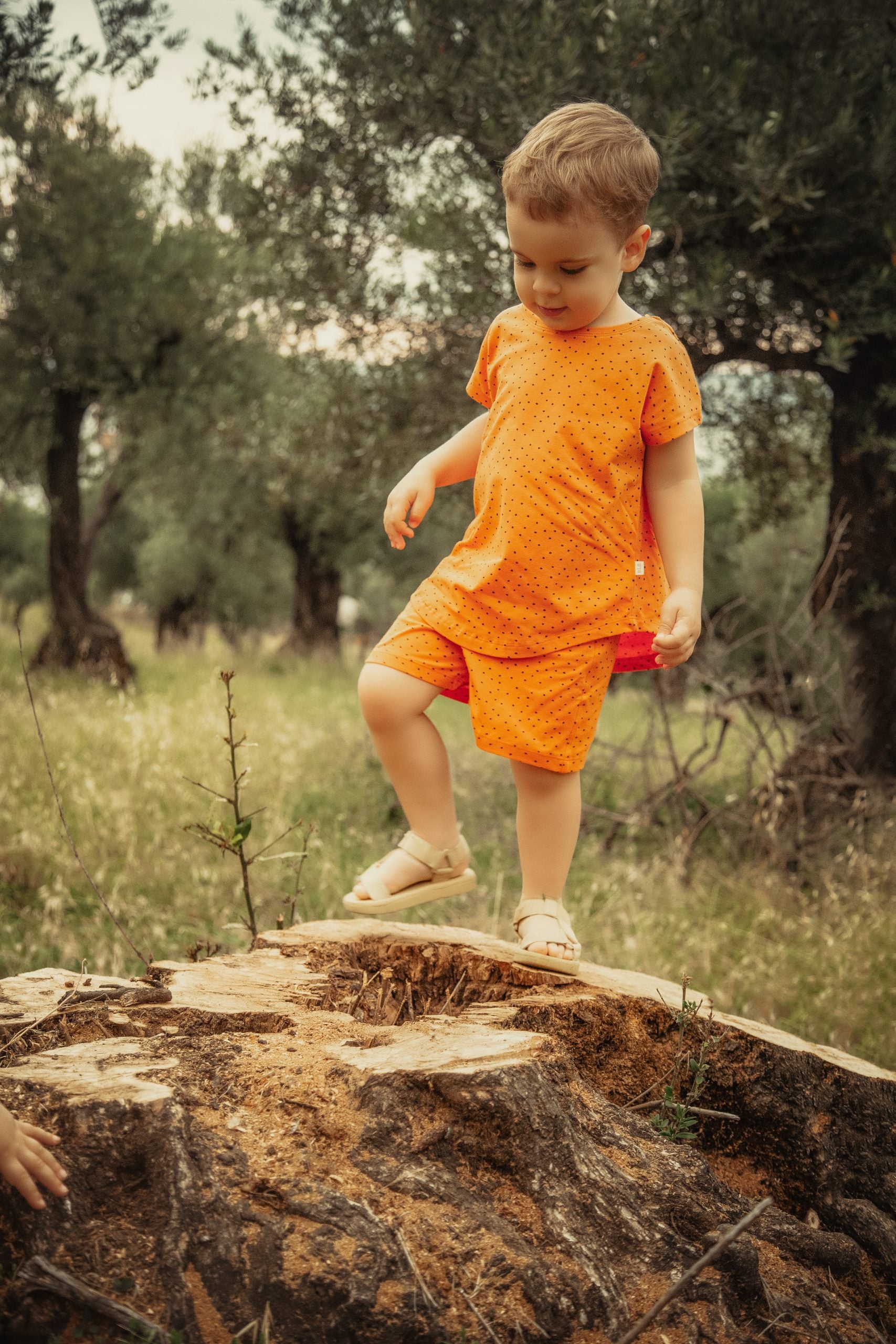 Orange Dotted Tee & Short Set - Blzandco