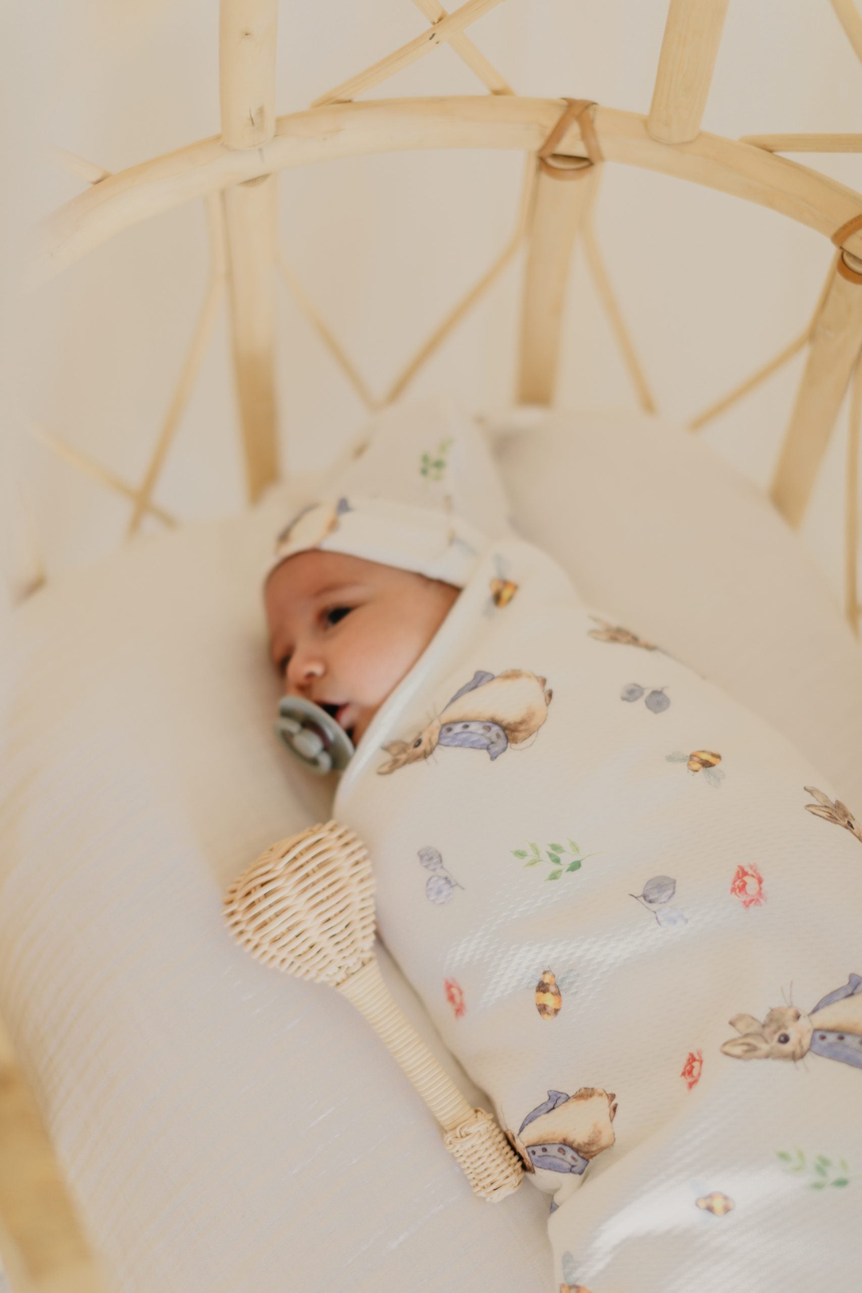 Peter Rabbit Baby Blanket & Hat - Blzandco