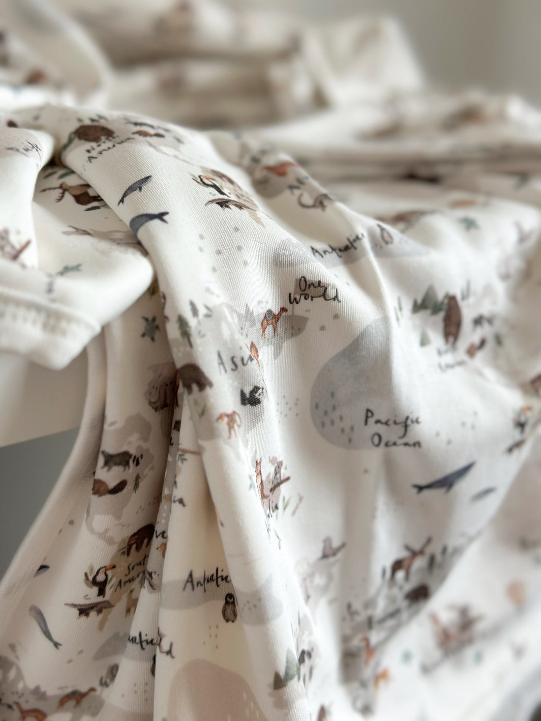 World Map Animal Baby Blanket & Hat