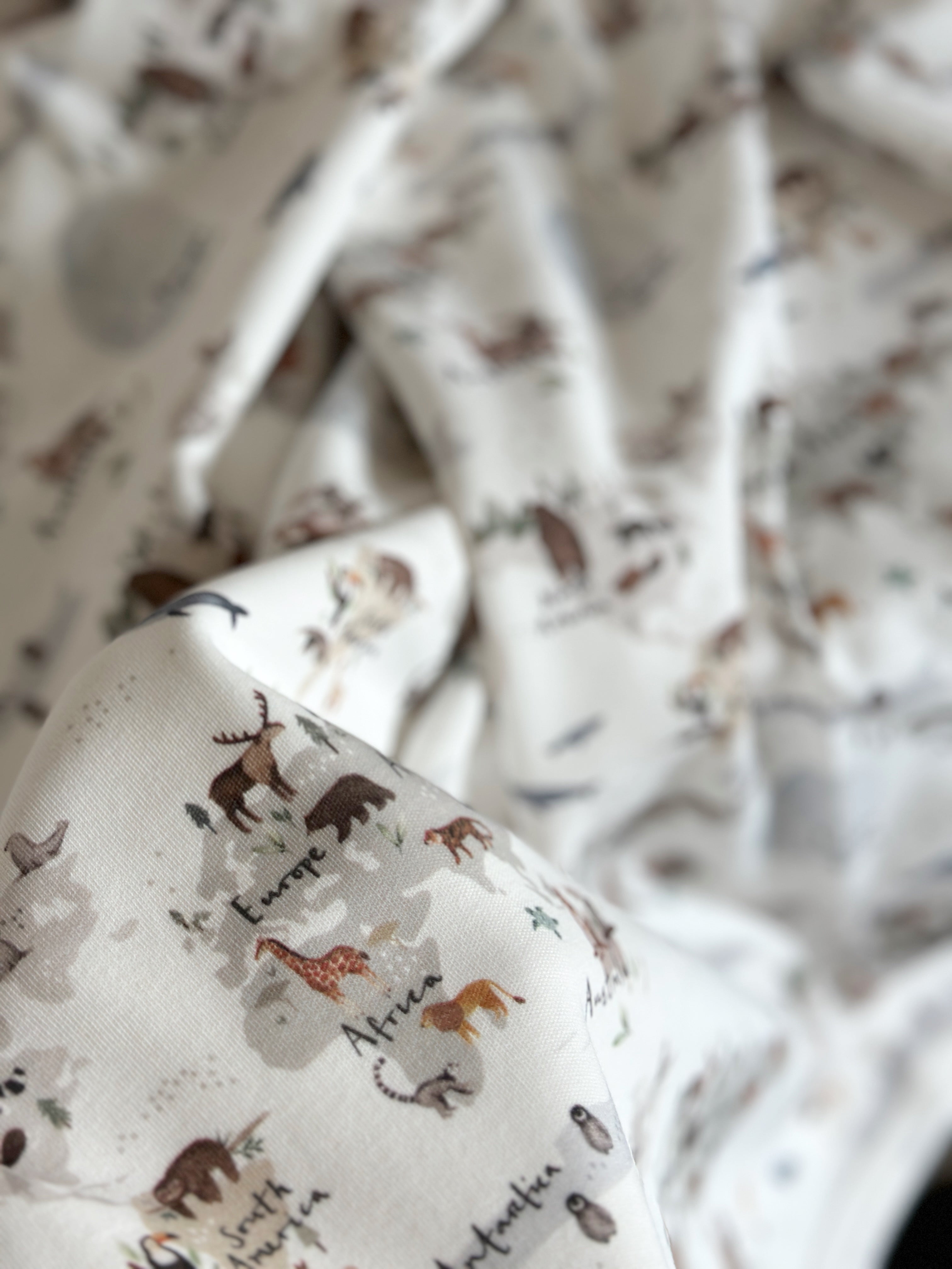 World Map Animal Baby Blanket & Hat