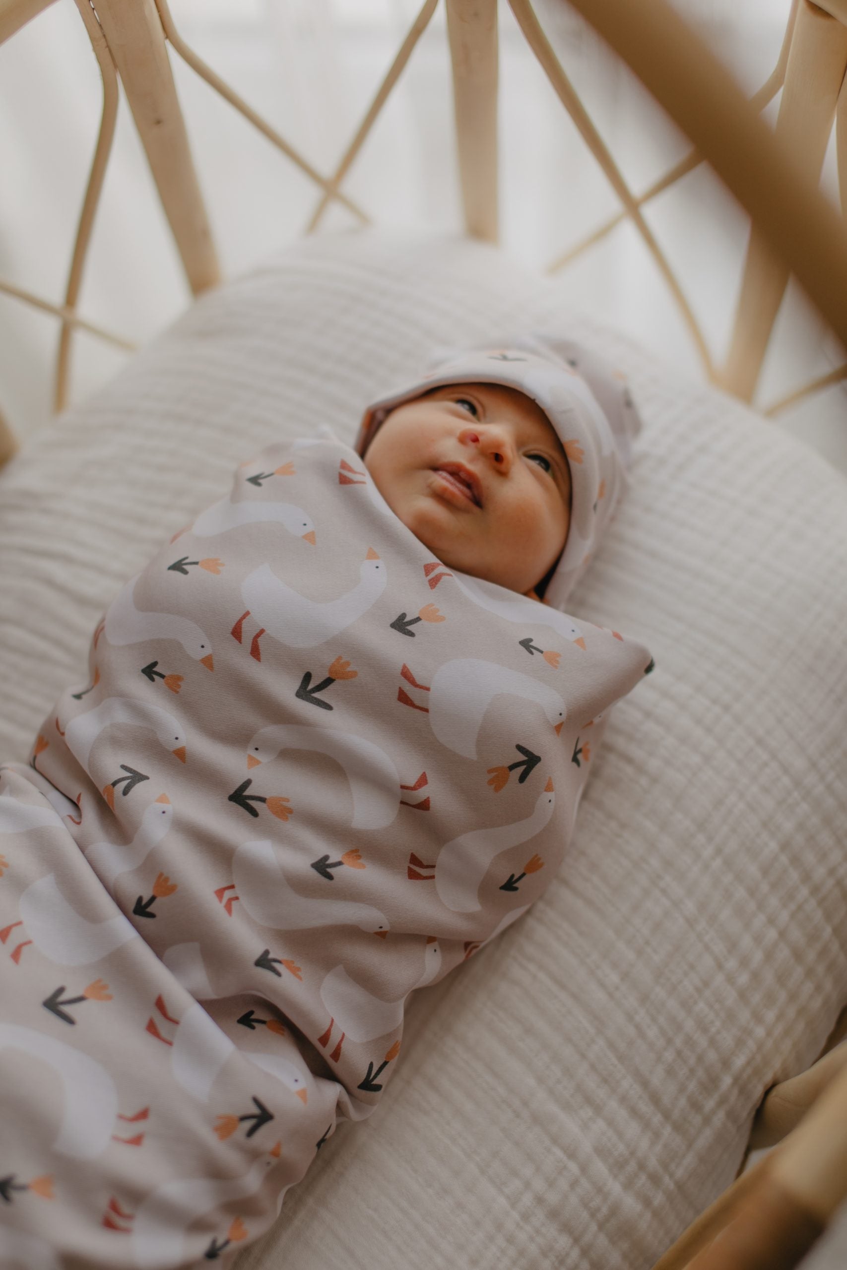 Goose Blanket and Hat - Blzandco